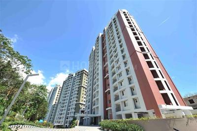 Project Image of 1103.0 - 1665.0 Sq.ft 2 BHK Apartment for buy in SFS Tivoli
