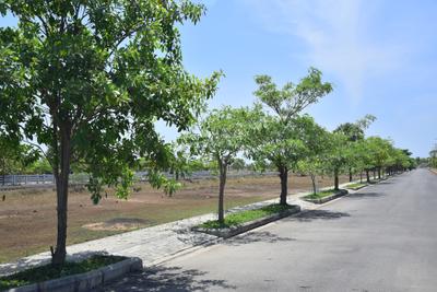 Project Image of 1500.0 - 3622.0 Sq.ft Residential Plot Plot for buy in Akshaya KVG