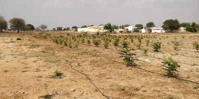 Project Image of 0.0 - 2178.0 Sq.ft Residential Plot Plot for buy in Siva Bharathi Lake View Gardens