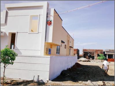 Project Image of 850.0 - 1200.0 Sq.ft Residential Plot Plot for buy in Zion Royal Avenue