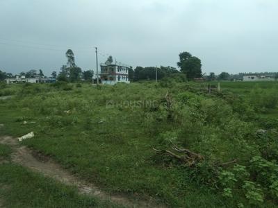 Project Image of 899.97 - 8099.95 Sq.ft Residential Plot Plot for buy in Hanukripa Phase 1