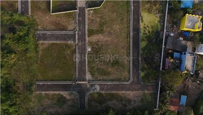 Project Images