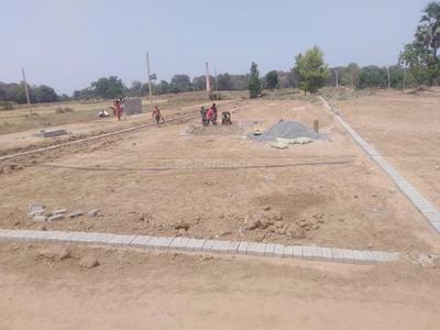 Project Images