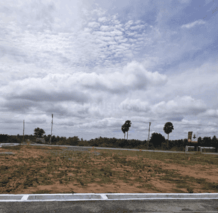 Project Images