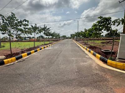 Project Image of 1485.0 - 3150.0 Sq.ft Residential Plot Plot for buy in Pristine City