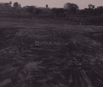 Project Images