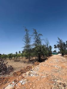 Project Image of 6000.0 - 12000.0 Sq.ft Residential Plot Plot for buy in Navile Farms 