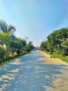 Project Image of 900.0 - 1800.0 Sq.ft Residential Plot Plot for buy in Hari Ashray Nagar Phase 15