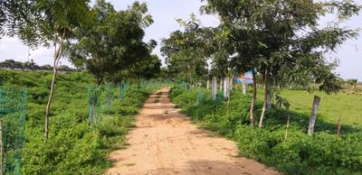Project Image of 400 Sq.ft Residential Plot / Land for sale in Solipur for Rs. 7200000