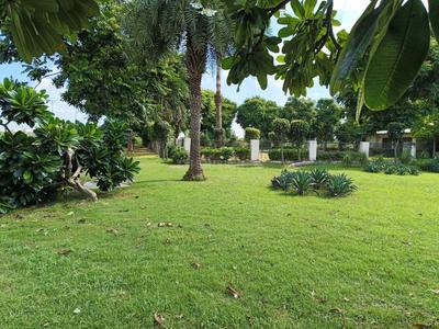 Project Image of 900.0 - 9000.0 Sq.ft Residential Plot Plot for buy in AMG Palm Garden