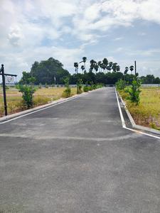 Project Image of 765.0 - 2000.0 Sq.ft Residential Plot Plot for buy in Amber County