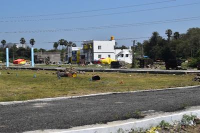 Project Image of 700.0 - 2047.0 Sq.ft Residential Plot Plot for buy in Madras Royal City