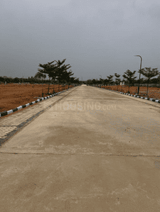 Project Image of 1351.8 - 3519.9 Sq.ft Residential Plot Plot for buy in S2 Platinum Pride