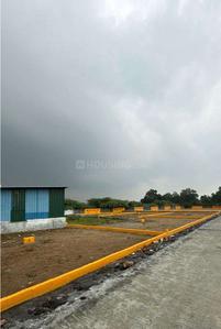 Project Images