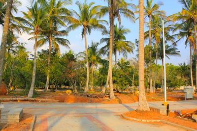 Project Image of 1200.0 - 2400.0 Sq.ft Residential Plot Plot for buy in JR Greenwoods Plots