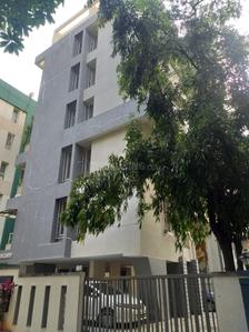 Project Image of 0.0 - 1379.0 Sq.ft 3 BHK Apartment for buy in Pate Century