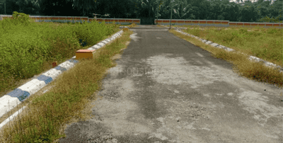 Project Images