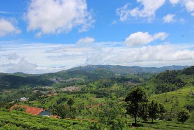 Project Image of 1000.0 - 15260.0 Sq.ft Residential Plot Plot for buy in Lushbergs