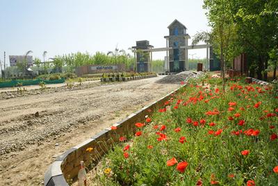 Project Image of 810.0 - 2250.0 Sq.ft Residential Plot Plot for buy in Hero Alaknanda Plots