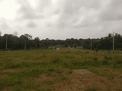 Project Images