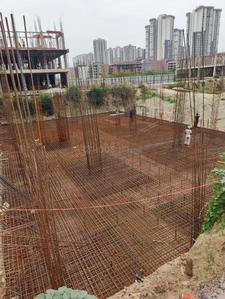 Project Image of 1595.0 - 2020.0 Sq.ft 3 BHK Builder Floor for buy in Sunwest Homes 107 