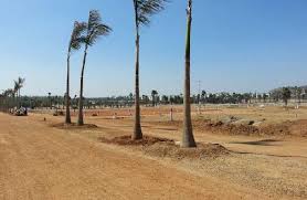 Project Image of 0.0 - 1800.0 Sq.ft Residential Plot Plot for buy in Pooja Sindhuvanam