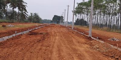Project Image of 600.0 - 2400.0 Sq.ft Residential Plot Plot for buy in BGS Shree Annapurneshwari Layout