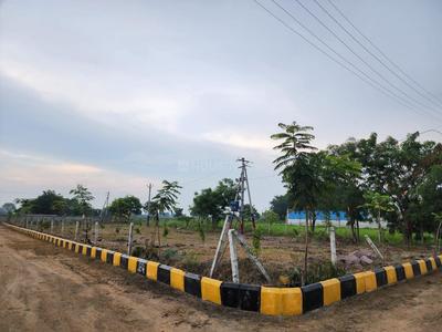 Project Image of 1350.0 - 3231.0 Sq.ft Residential Plot Plot for buy in Alankritha Avenue