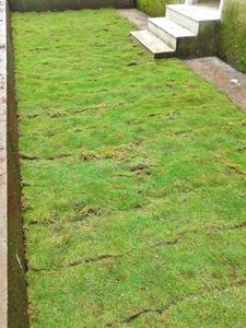 Project Image of 0.0 - 1540.0 Sq.ft 3 BHK Row House for buy in Prathemesh Vighnaharta Enclave