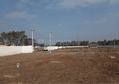 Project Images