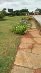 Project Image of 1108.0 - 2400.0 Sq.ft Residential Plot Plot for buy in Shriram Godhuli