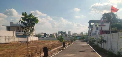 Project Images