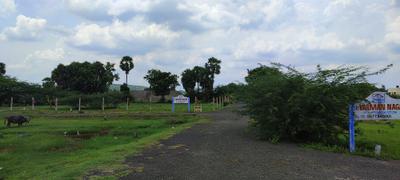 Project Image of 600.0 - 2400.0 Sq.ft Residential Plot Plot for buy in Vanavd Sri Varaman Nagar