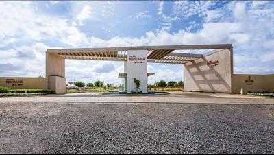 Project Image of 3045.0 - 6000.0 Sq.ft Residential Plot Plot for buy in Goyal Orchid Nirvana