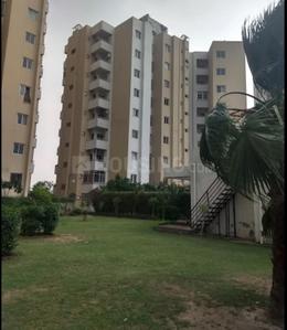 Project Image of 1021.0 - 1848.0 Sq.ft 2 BHK Apartment for buy in Ansal Grace