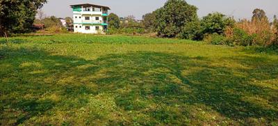 Project Image of 1000.0 - 5000.0 Sq.ft Residential Plot Plot for buy in Rama Ranjan Pada
