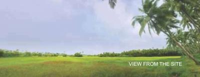 Project Image of 1367.0 - 1798.0 Sq.ft 3 BHK Villa for buy in Saldanha Rosa