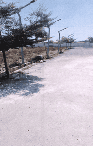 Project Images