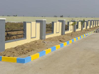 Project Image of 1650.0 - 3170.73 Sq.ft Residential Plot Plot for buy in Golden Orchid Phase II