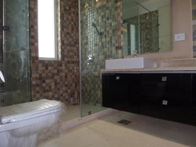 Project Images