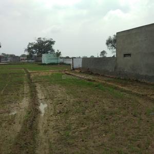 Project Image of 450.0 - 10350.0 Sq.ft Residential Plot Plot for buy in Shubham Jewar City