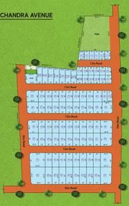Project Image of 516.0 - 2787.0 Sq.ft Residential Plot Plot for buy in Chandra Avenue