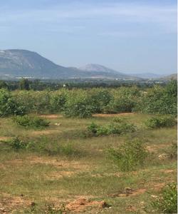 Project Image of 1200.0 - 2400.0 Sq.ft Residential Plot Plot for buy in Esteem Misty Hills
