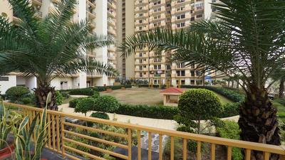 Project Image of 1755.0 - 2370.0 Sq.ft 3 BHK Apartment for buy in Saya Gold Avenue