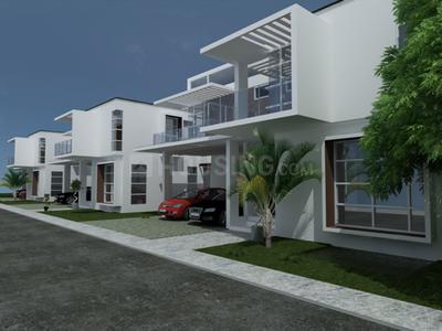Project Images