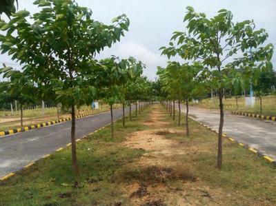 Project Image of 1571.53 - 17954.2 Sq.ft Residential Plot Plot for buy in Nishija Eastern Heights