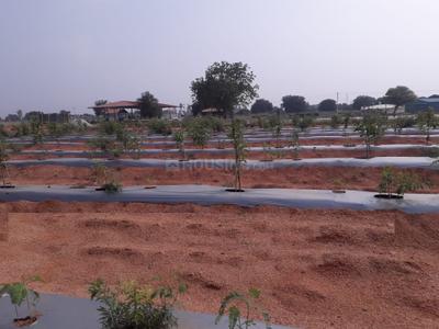 Project Image of 1800.0 - 3600.0 Sq.ft Residential Plot Plot for buy in USM My City Go Ranch