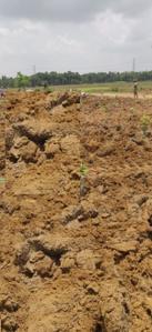Project Image of 0.0 - 900.0 Sq.ft Residential Plot Plot for buy in Charan RED Sandel Garden