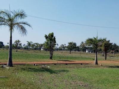 Project Image of 450.0 - 2400.0 Sq.ft Residential Plot Plot for buy in Miraacle Green Town Villa Plots Ponneri