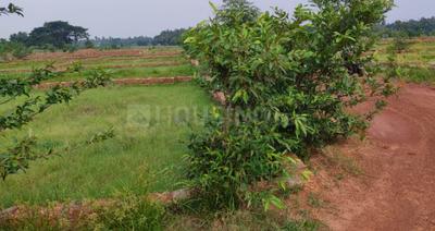 Project Image of 1200.0 - 5000.0 Sq.ft Residential Plot Plot for buy in OLF Krishna Bhoomi Phase 2